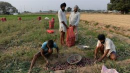 Modi govt allows farmers to buy seeds with old currency