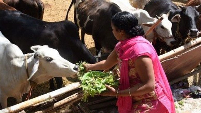 Centre bans on sale of cattle for slaughter, brings restrictions on cattle trade