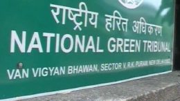 NGT:Rs 5,000 environment compensation for possessing banned plastic in Delhi
