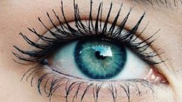 Best tips to improve your eyesight naturally, from what to eat to DIY exercises to more