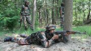J&K: Three Terrorists Gunned Down By Security Forces in Encounter in Pulwama’s Tral