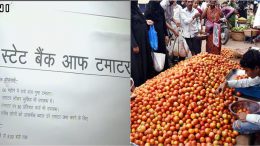 Tomato bank's:Congress opens ‘State Bank of Tomato’ in Lucknow to protest against rising prices
