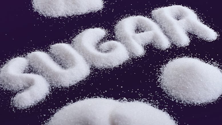 Ugar Sugar Works has stopped operations of the Ugar plant closure notice