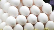 Contaminated eggs can compromise food safety.How to handle and store eggs