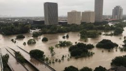 Texas city loses water, 44 dead, but thousands of Harvey survivors rescued