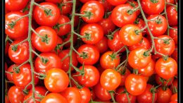 Cut BP risk, get glowing skin: 8 reasons to add tomato to your diet and beauty regime
