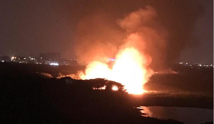 Fire breaks out at Bellandur Lake second time